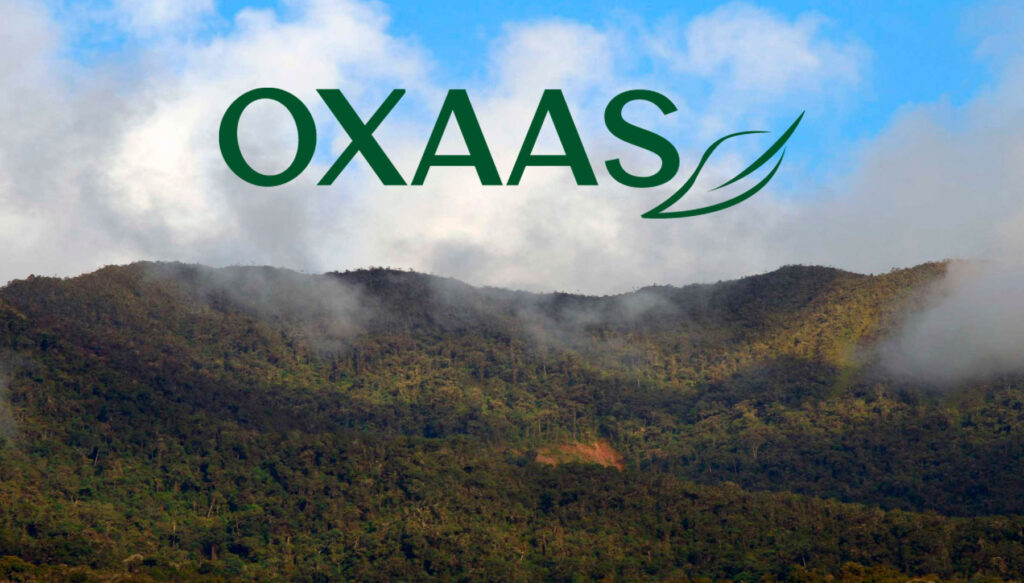 categoría-productos-OXAAS-Desde Oxapampa, alimentos naturales que nutren con alma